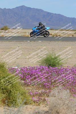 media/Mar-12-2023-SoCal Trackdays (Sun) [[d4c8249724]]/Turn 15 Inside Bloom (130pm)/